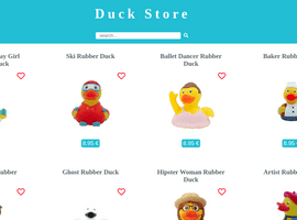 Duck Store